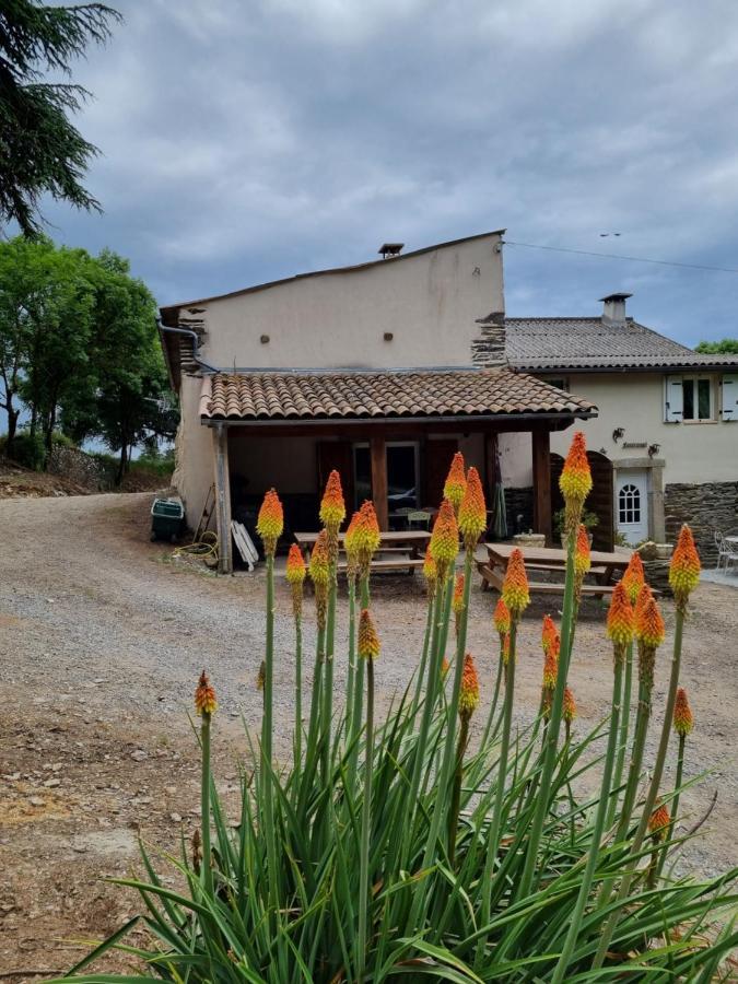 Villa L'Oeil De Carcassonne Caudebronde Exterior foto